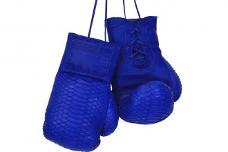 Elisabeth Weinstock Boxing Gloves Fete-a-Tete