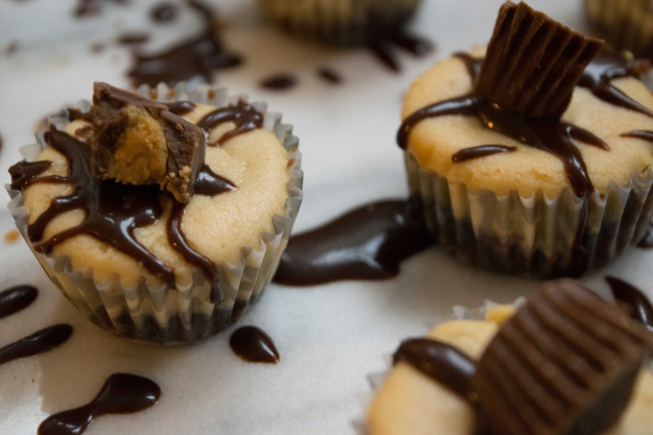 Reese's Peanut Butter Cup Cheesecake Bites - Witten Kitchen